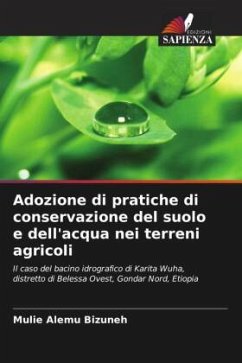 Adozione di pratiche di conservazione del suolo e dell'acqua nei terreni agricoli - Alemu Bizuneh, Mulie