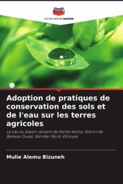 Adoption de pratiques de conservation des sols et de l'eau sur les terres agricoles - Alemu Bizuneh, Mulie