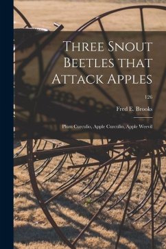 Three Snout Beetles That Attack Apples: Plum Curculio, Apple Curculio, Apple Weevil; 126 - Brooks, Fred E.