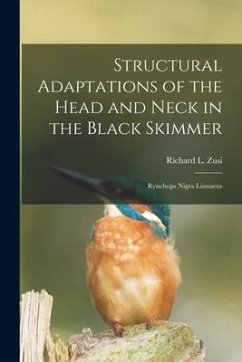 Structural Adaptations of the Head and Neck in the Black Skimmer: Rynchops Nigra Linnaeus