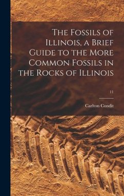 The Fossils of Illinois, a Brief Guide to the More Common Fossils in the Rocks of Illinois; 11 - Condit, Carlton