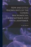 New and Little Known Ants of the Genera Macromischa, Croesomyrmex and Antillaemyrmex.