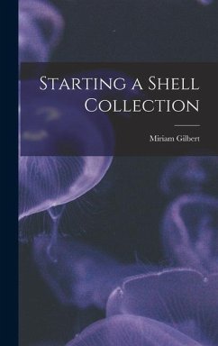 Starting a Shell Collection - Gilbert, Miriam