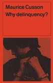 Why Delinquency?