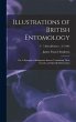 Illustrations of British Entomology;... - Bild 1