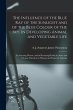 The Influence of the Blue Ray of the... - Bild 1