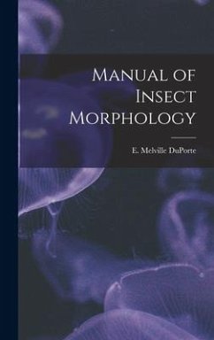 Manual of Insect Morphology