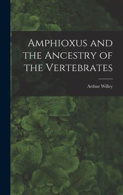 Amphioxus and the Ancestry of the Vertebrates [microform] - Willey, Arthur