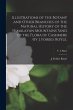 Illustrations of the Botany and Other... - Bild 1