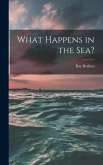 What Happens in the Sea?