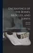 Engravings of the Bones, Muscles, and... - Bild 1