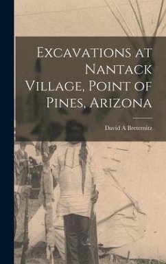 Excavations at Nantack Village, Point of Pines, Arizona - Breternitz, David a