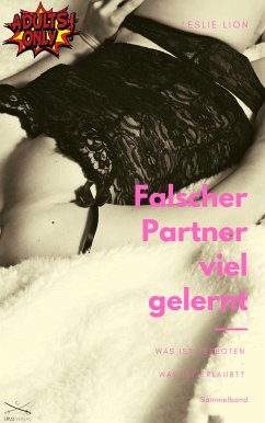 Falscher Partner - viel gelernt - Sammelband (eBook, ePUB) - Lion, Leslie