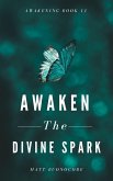 Awaken The Divine Spark (Awakening, #11) (eBook, ePUB) Awaken The Divine Spark (Awakening, #11) (eBook, ePUB)