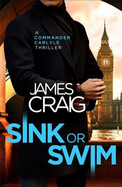 Cover Sink or Swim (eBook, ePUB)