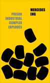 Prison Industrial Complex Explodes (eBook, ePUB)