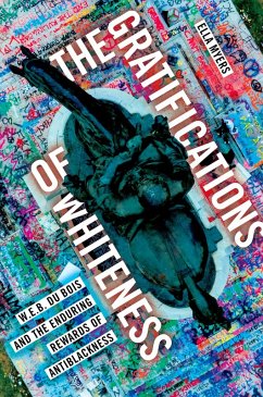 Cover The Gratifications of Whiteness (eBook, PDF)