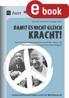 Damit es nicht gleich kracht (eBook, PDF) - Schweizer, Joachim; Stich, Ansgar
