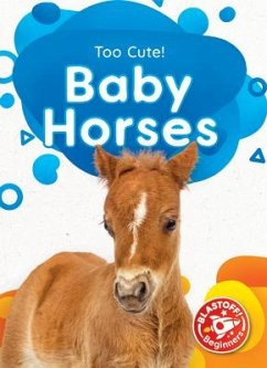 Baby Horses - Rathburn, Betsy
