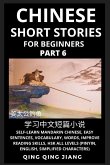 Chinese Short Stories for Beginners (Part 6): Self-Learn Mandarin Chinese, Easy Sentences, Vocabulary, Words, Improve Reading Skills, HSK All Levels (