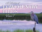 A Collection of Lowcountry Birds