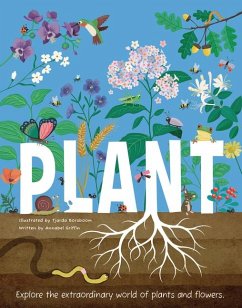 Cover Plant