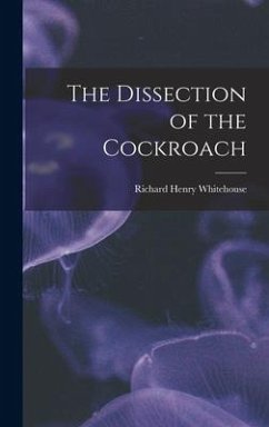 The Dissection of the Cockroach - Whitehouse, Richard Henry