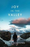Joy in the Valley (eBook, ePUB)