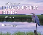 A Collection of Lowcountry Birds