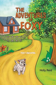The Adventures of Foxy - Reid, Holly