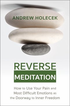 Reverse Meditation - Holecek, Andrew