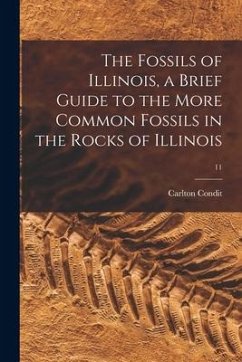 The Fossils of Illinois, a Brief Guide to the More Common Fossils in the Rocks of Illinois; 11 - Condit, Carlton