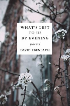 What's Left to Us by Evening - Ebenbach, David