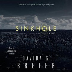 Sinkhole - Breier, Davida G.