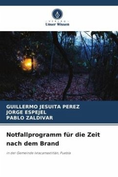 Notfallprogramm für die Zeit nach dem Brand - Perez, Guillermo Jesuita;Espejel, Jorge;Zaldivar, Pablo