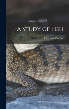 A Study of Fish - Pincher, Chapman