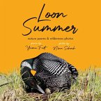 Loon Summer Loon Summer