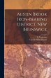 Austin Brook Iron-bearing District, New... - Bild 1
