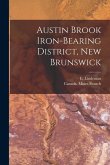 Austin Brook Iron-bearing District, New Brunswick [microform]