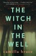 The Witch In The Well - Bild 1