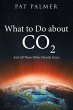 What to Do About Co2 - Bild 1