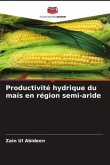 Productivité hydrique du maïs en région semi-aride