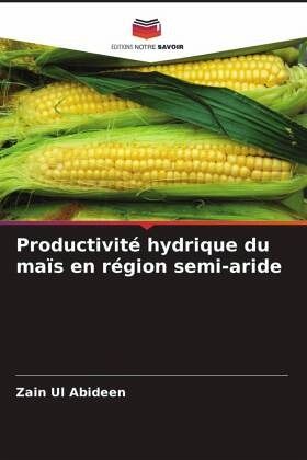 Productivité hydrique du maïs en région semi-aride