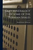 Clay Mineralogy of Some of the Permian Shales