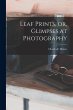 Leaf Prints, or, Glimpses at Photography - Bild 1