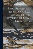 First Report on the Geological Survey of the Province of New-Brunswick [microform]