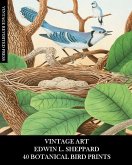 Vintage Art Vintage Art