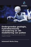 Ondergrondse geologie, hydrothermische verandering en 3D-modellering van putten