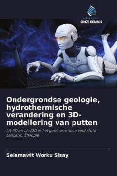 Ondergrondse geologie, hydrothermische verandering en 3D-modellering van putten - Sisay, Selamawit Worku