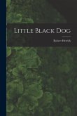 Little Black Dog